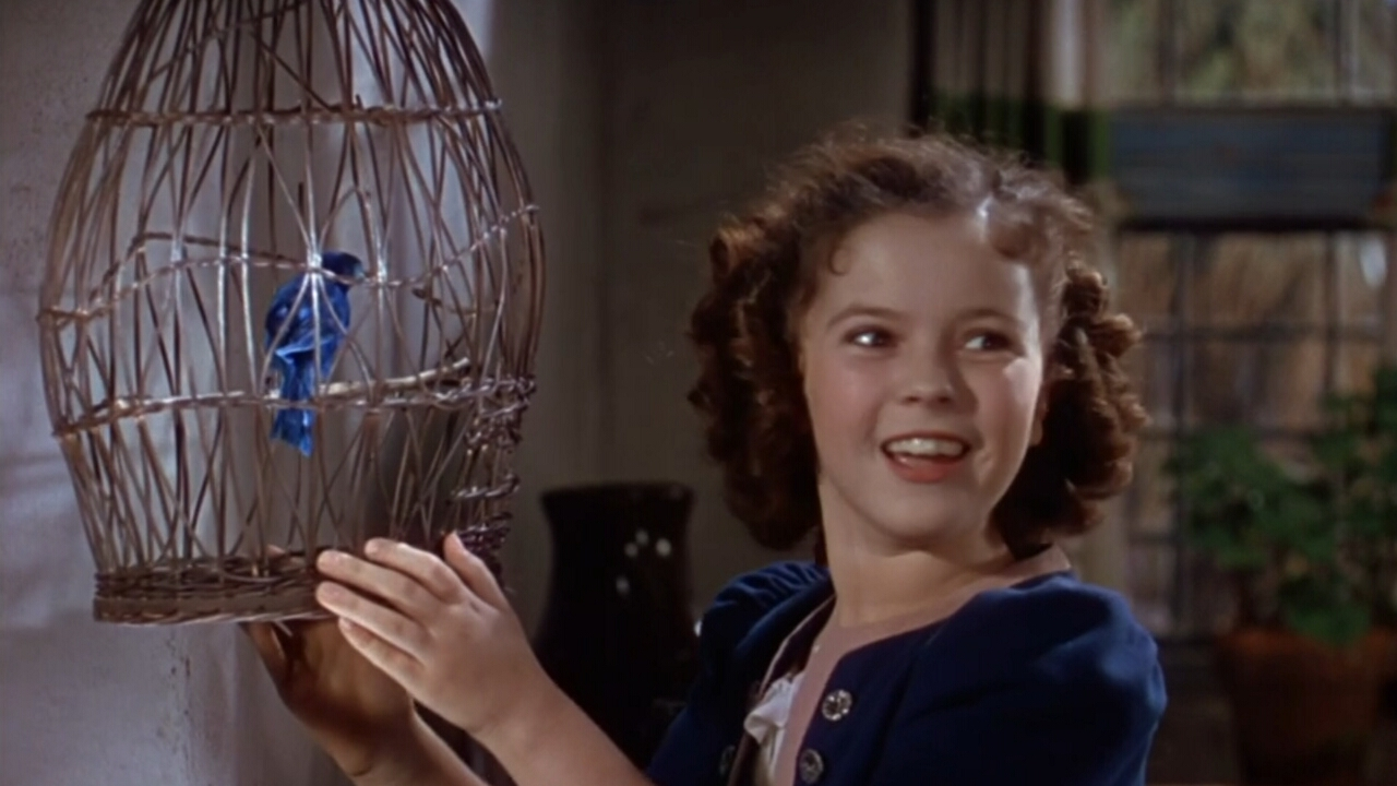 Oscar History: January 15 (2024)