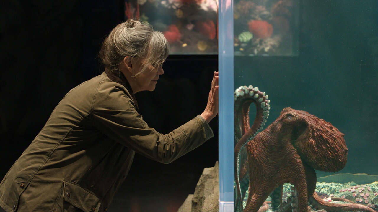 Film Preview: Remarkably Bright Creatures (2026)